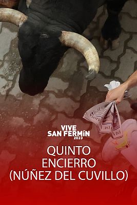 Quinto encierro de San Fermn 2023