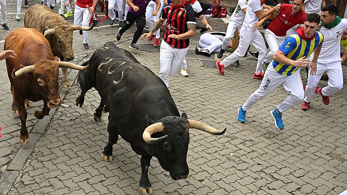 San Fermín - Quinto encierro