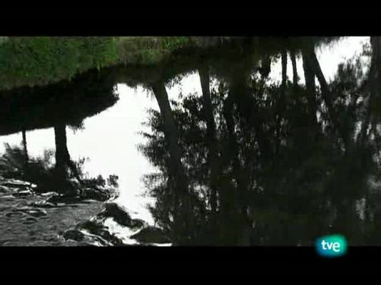 Nuestros caminos a Santiago - Camino ingles y marítimo