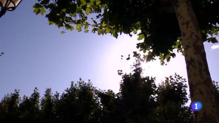 Informativo Telerioja - Telerioja en 2' - 11/07/23