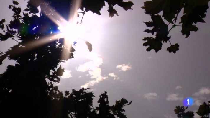 Informativo Telerioja - Informativo Telerioja 2 - 11/07/23