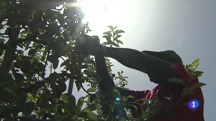 L'Informatiu - L'Informatiu 2 - 11/07/2023