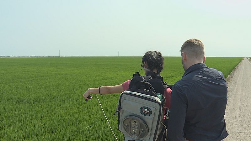 Proyecto Europeo EO4 Cereal Stress - Ver ahora