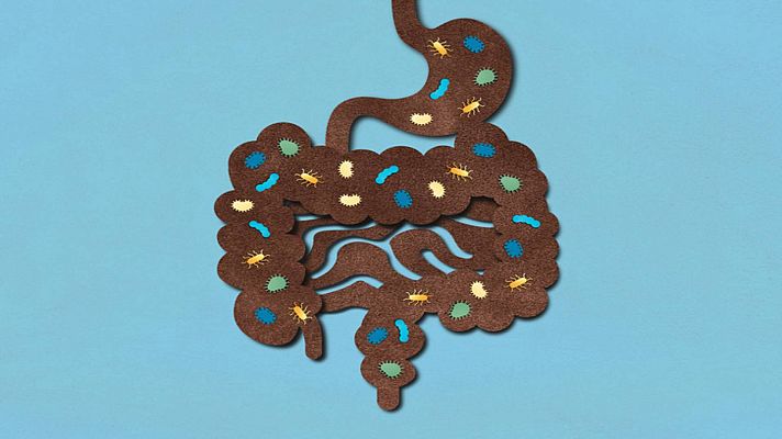 Saber vivir - Cómo cuidar a nuestra microbiota para tener buena salud