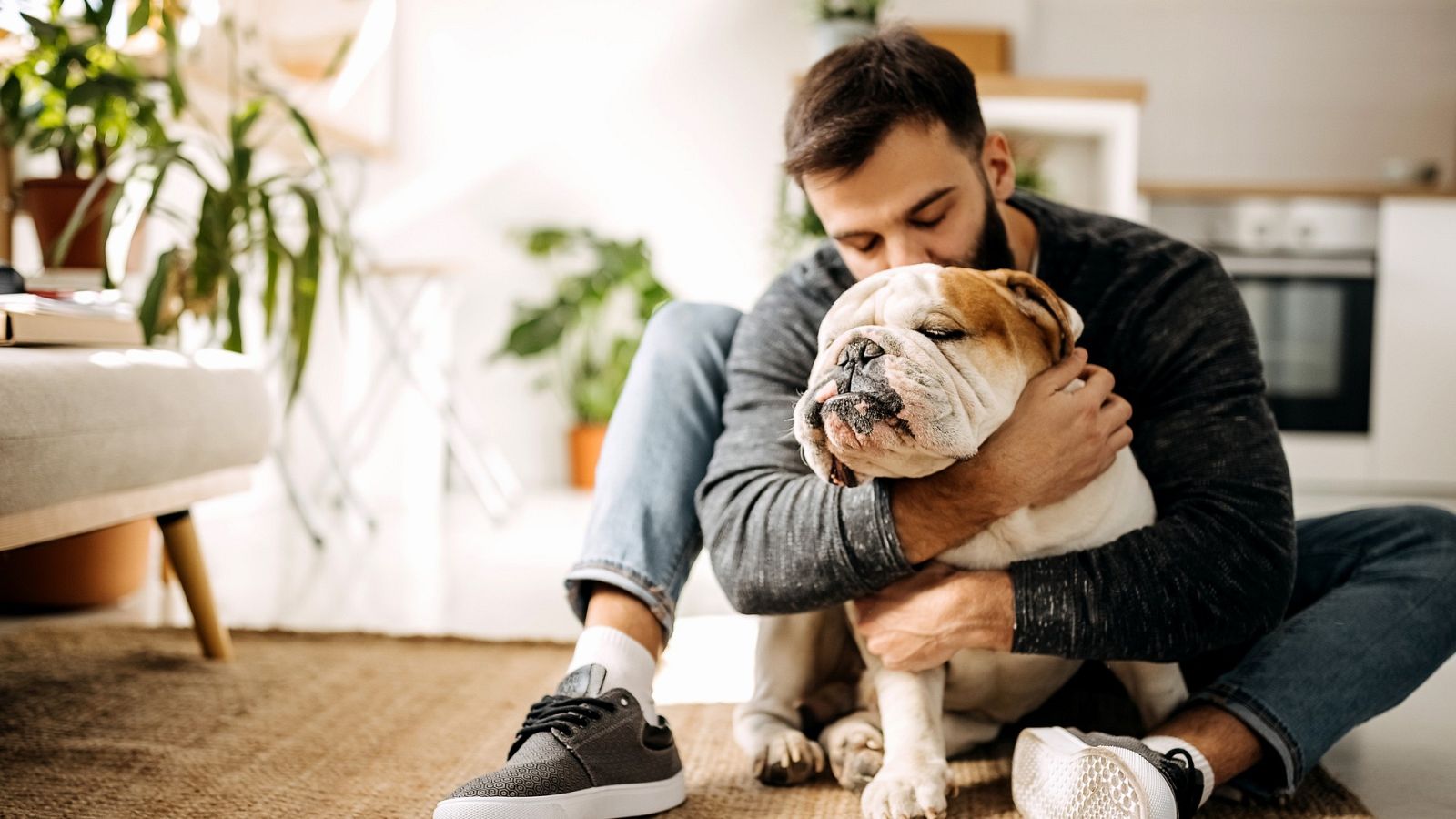 ¿Pueden los propietarios negarse a alquilar una vivienda si el inquilino tiene una mascota?