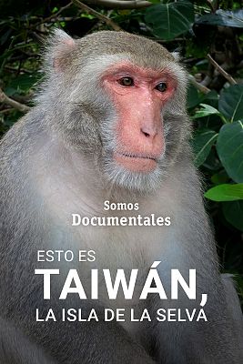 Somos Documentales - Esto es Taiwan, la isla de la selva