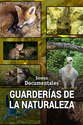 Guarderías de la naturaleza