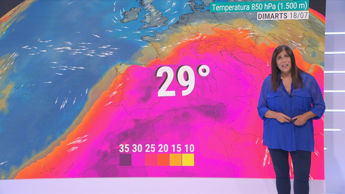 El temps - Aprofiteu la calor més o menys suportable d¿avui