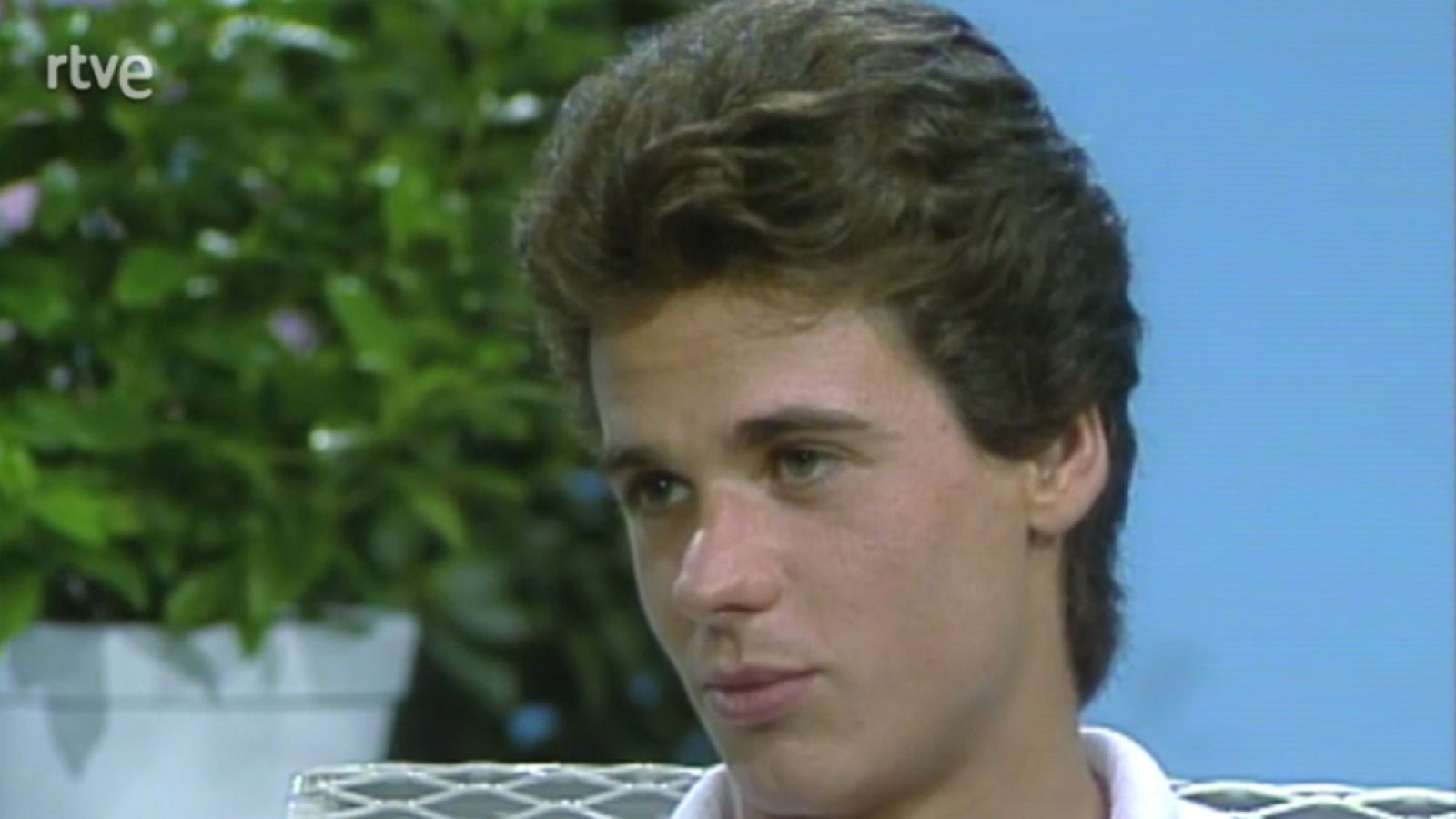 La tarde de un verano - 21/8/1989 - La tarde | Ver