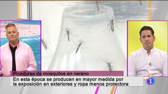 Cerca de ti - Cerca de ti - 14/07/2023