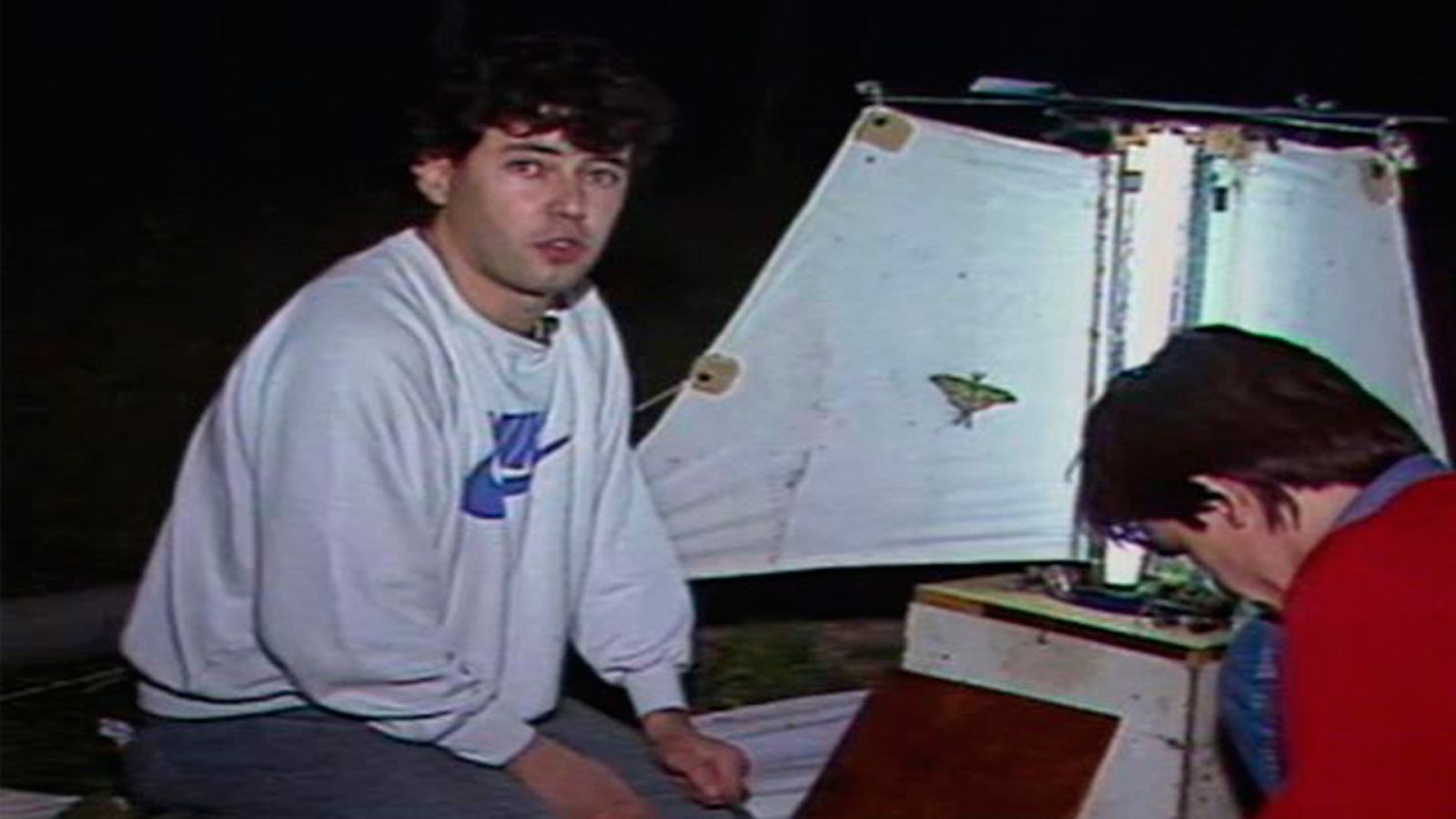 Arxiu TVE Catalunya - Comarques - La papallona Graèllsia