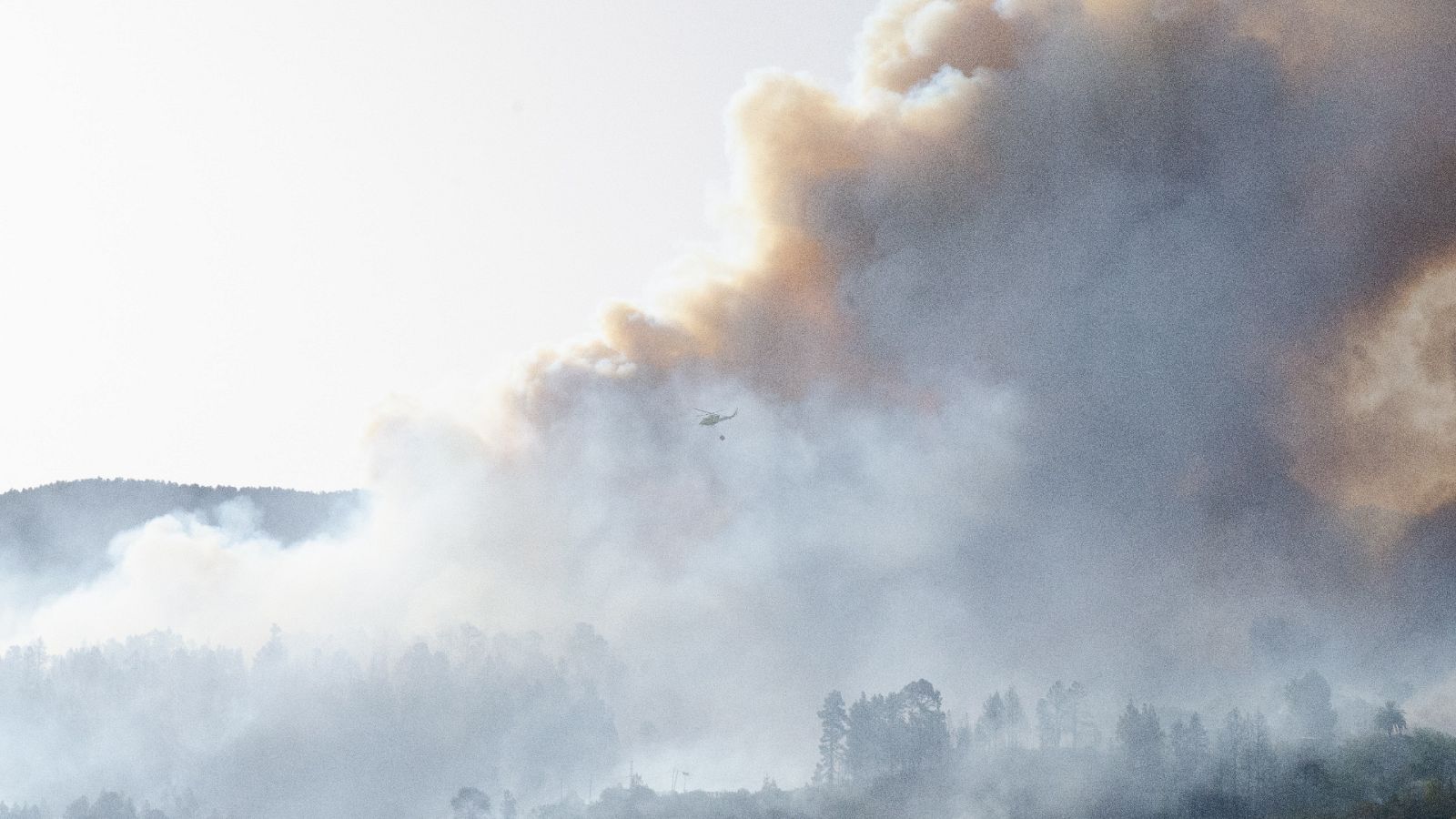 Informativo 24 horas - 14h - 15/07/23 - ver ahora