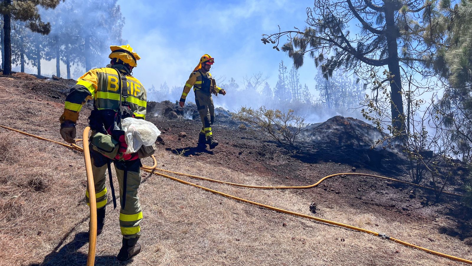 Telediario Matinal en 4' 16/07/2023 | Ver