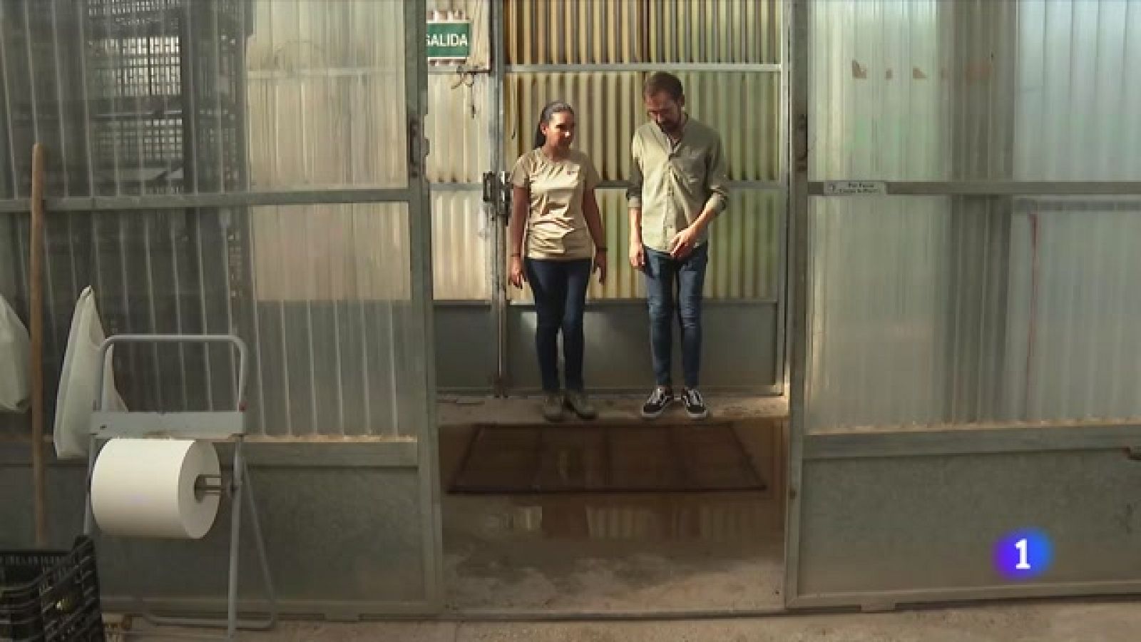 Cultivos hidropónicos, una alternativa a la falta de agua -Ver ahora