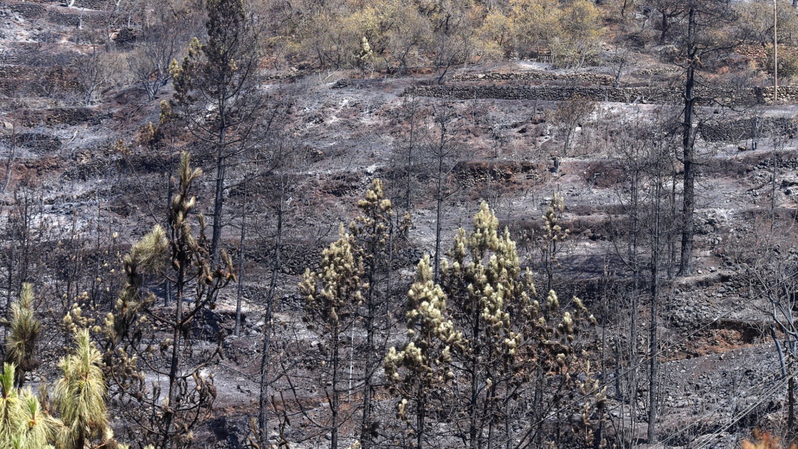 Informativo 24 horas - 20h - 16/07/23 - ver ahora