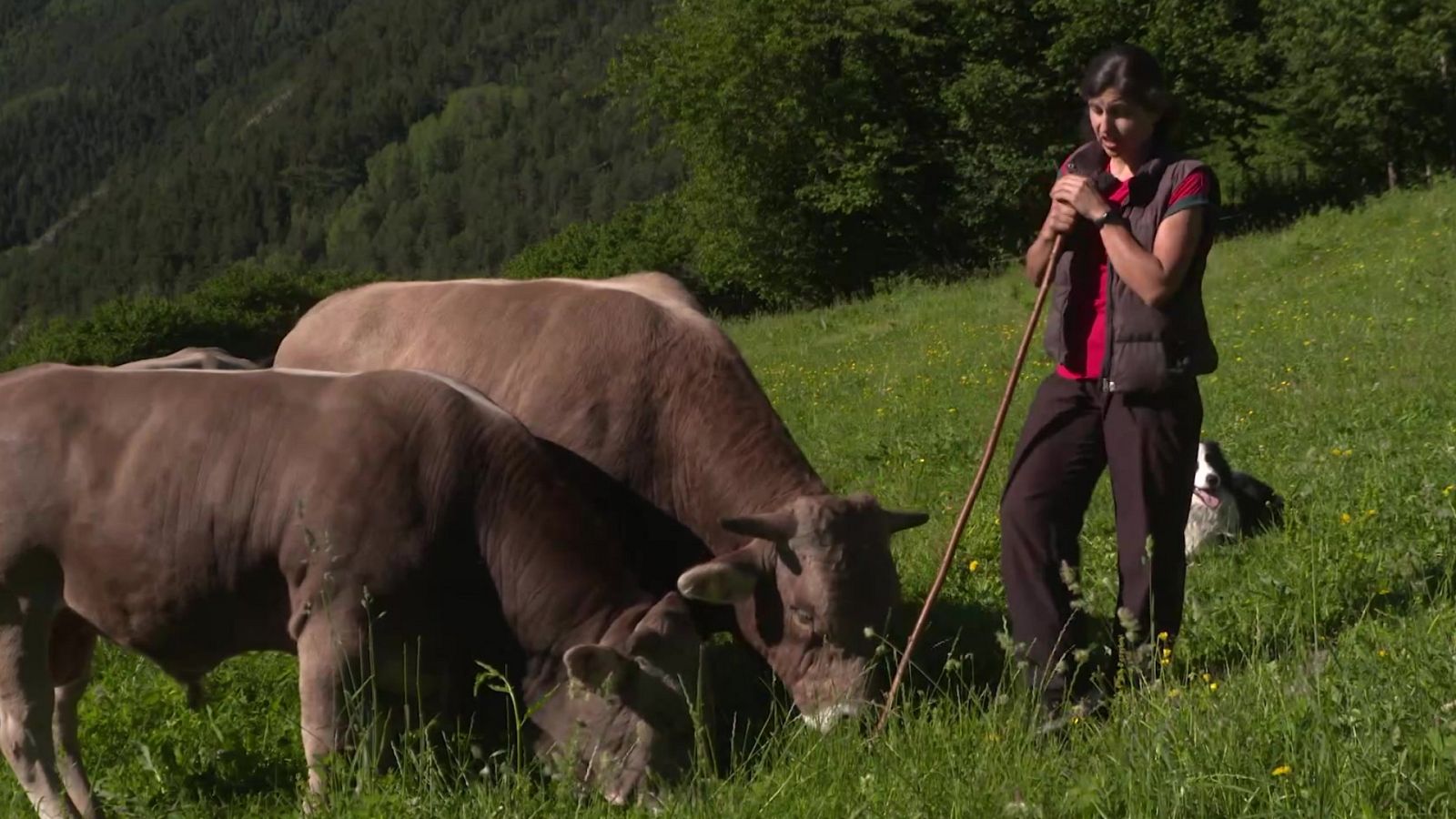 Turismo rural en el mundo - Andorra: El corazón de los Pirineos - ver ahora