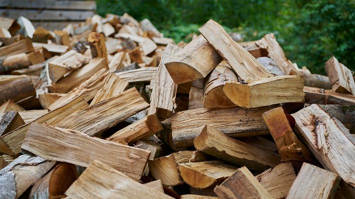 Telediario 1 - Aumenta la compra de leña en verano