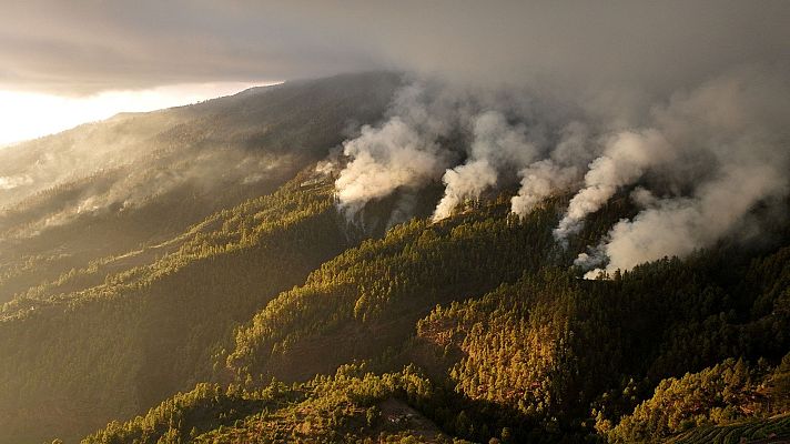 Telediario 1 - El incendio de La Palma evoluciona favorablemente gracias a las condiciones meteorológicas pero sigue fuera de control