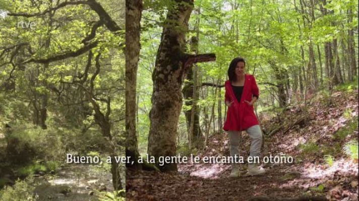  - Jéssica - Cuidemos la naturaleza