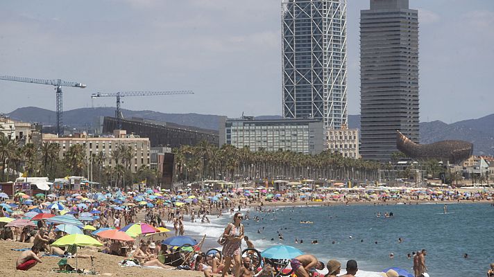 Diario 24 - Diario 24 - 18/07/23