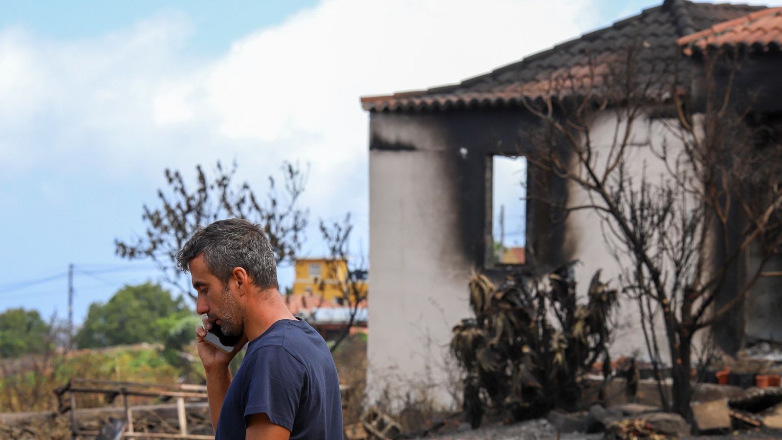 El incendio de La Palma tiene una evolución "favorable" - Telediario 1 | Ver