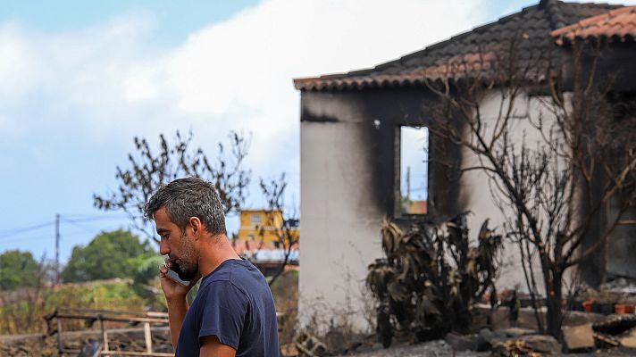 Telediario 1 - El incendio de La Palma tiene una evolución "favorable"