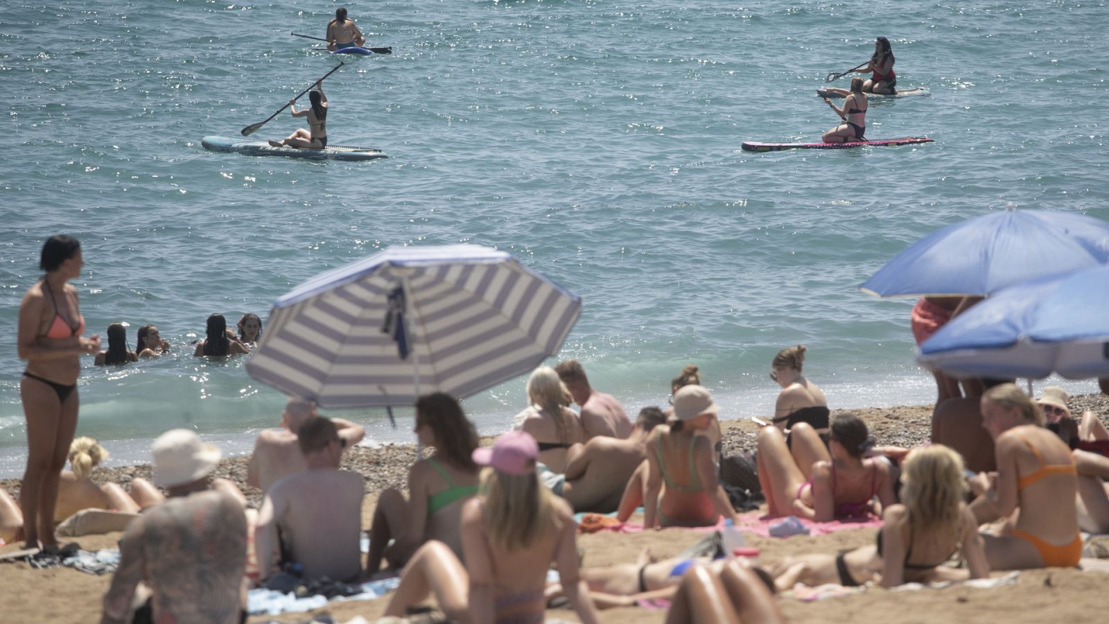Telediario - 15 horas - 18/07/23 - Lengua de signos - ver ahora
