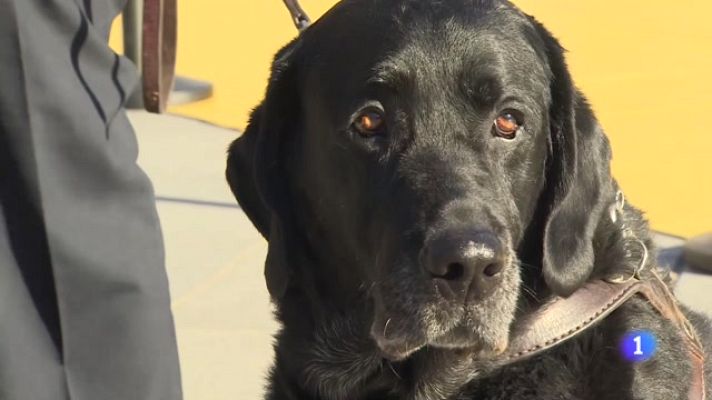 Informativo Telerioja - Telerioja en 2' - 18/07/23