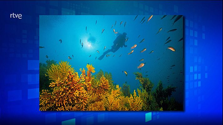 Saber y ganar - Saber y ganar. Edición de fin de semana - 23/07/23