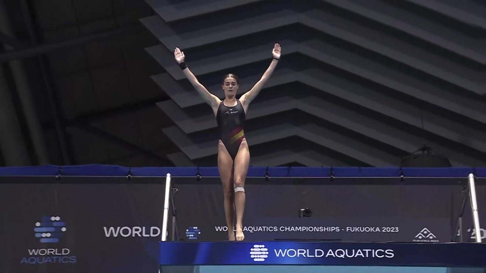 Natación artística - Campeonato del Mundo Saltos 10 mt. Femenino Final - ver ahora