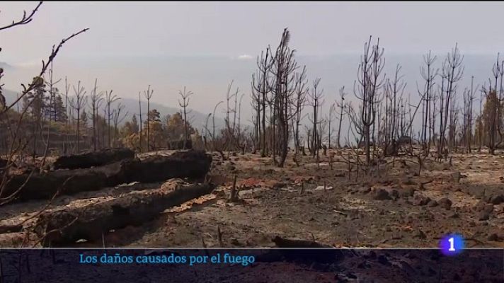 Telecanarias - Telecanarias - 19/07/2023