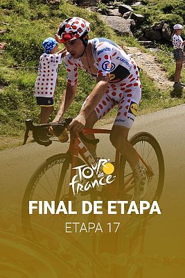 Tour de Francia - Gall gana la etapa reina; Vingegaard sentencia el Tour
