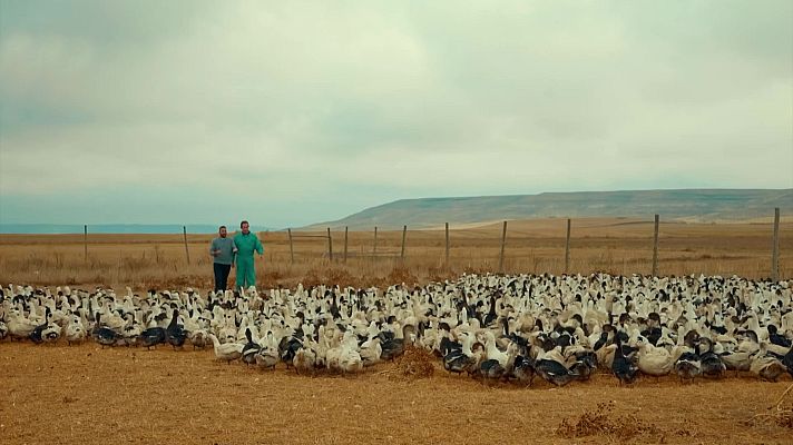 Las Rutas de... - Tierra de Campos