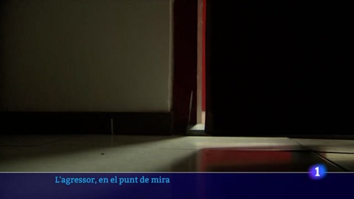 L'Informatiu - Nova àrea dels Mossos per analitzar perfils i controlar agressors sexuals condemnats