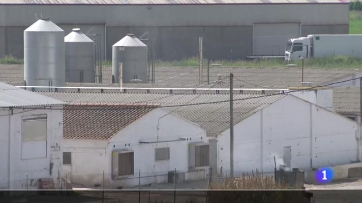 L'Informatiu - L'Informatiu 2 - 21/07/2023