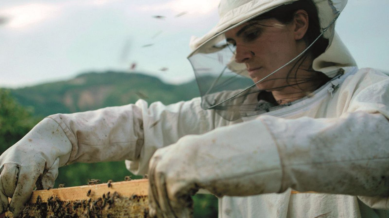 El cinema de La 2 - Rusc - Veure ara