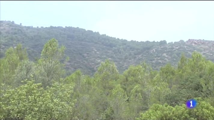 L'informatiu - Comunitat Valenciana - L'Informatiu de la Comunitat Valenciana 2 - 24/07/23