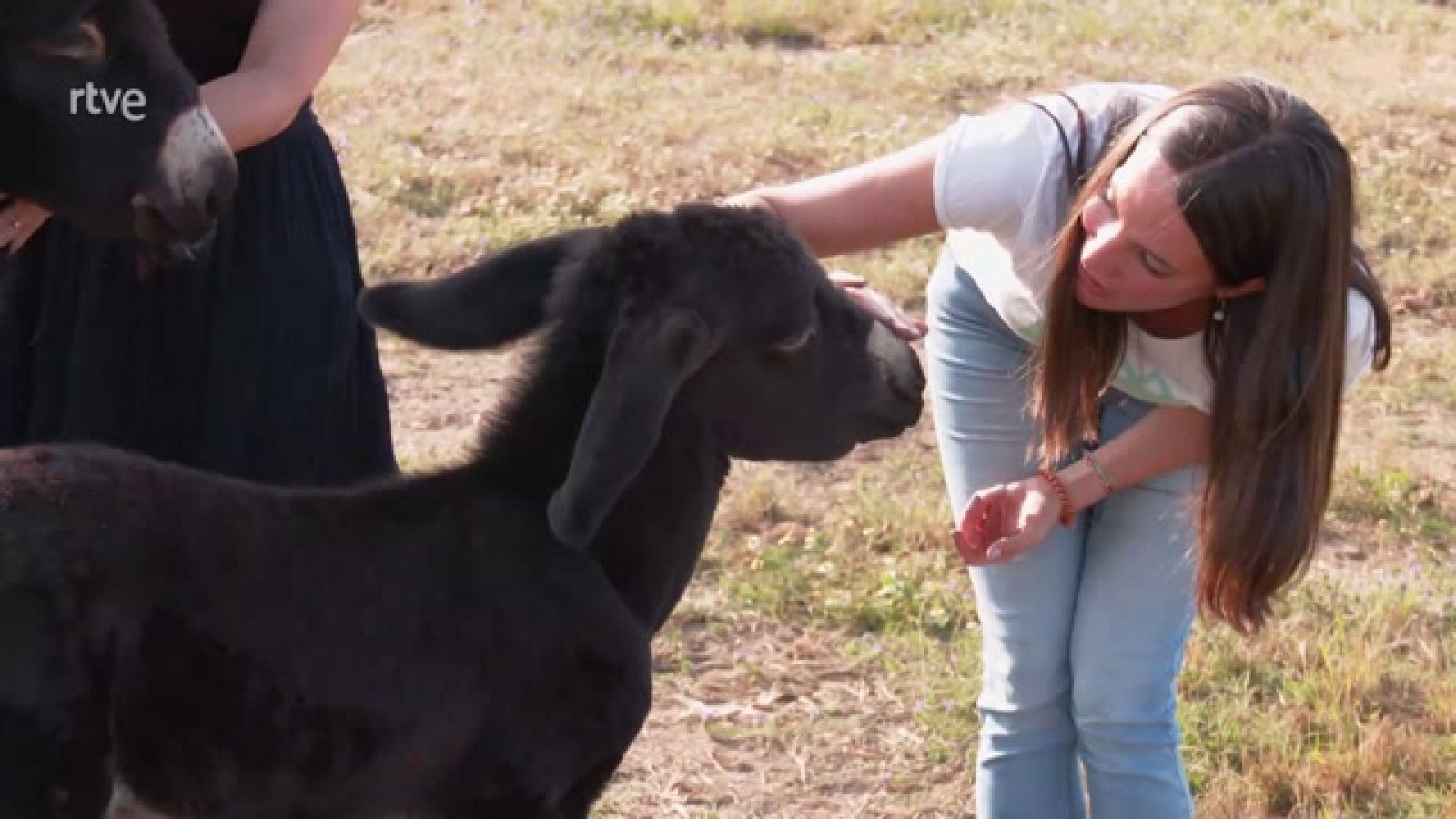 Aquí la Tierra - 24/07/23 - ver ahora