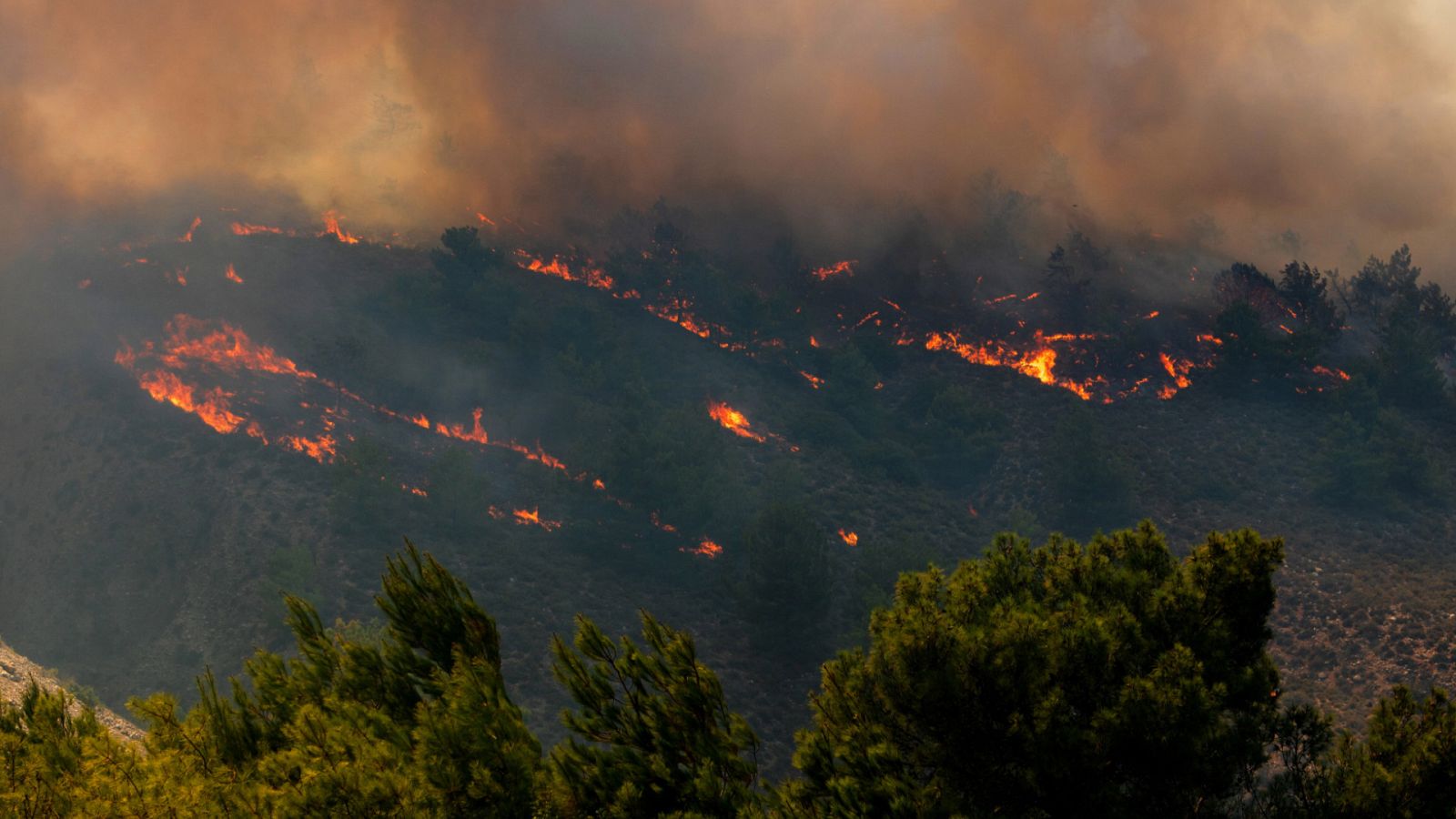 Telediario - 8 horas - 25/07/23 - Lengua de signos - ver ahora