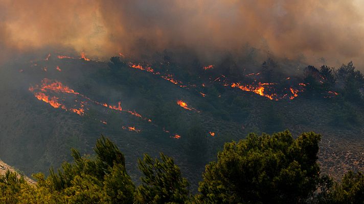 Telediario en lengua de signos - Telediario - 8 horas - 25/07/23 - Lengua de signos