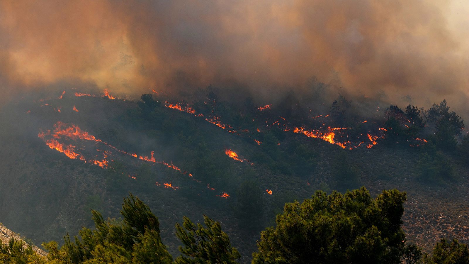 Un ganadero desaparecido y 3.000 turistas evacuados de Corfú en el tercer día de incendios en Grecia | Ver