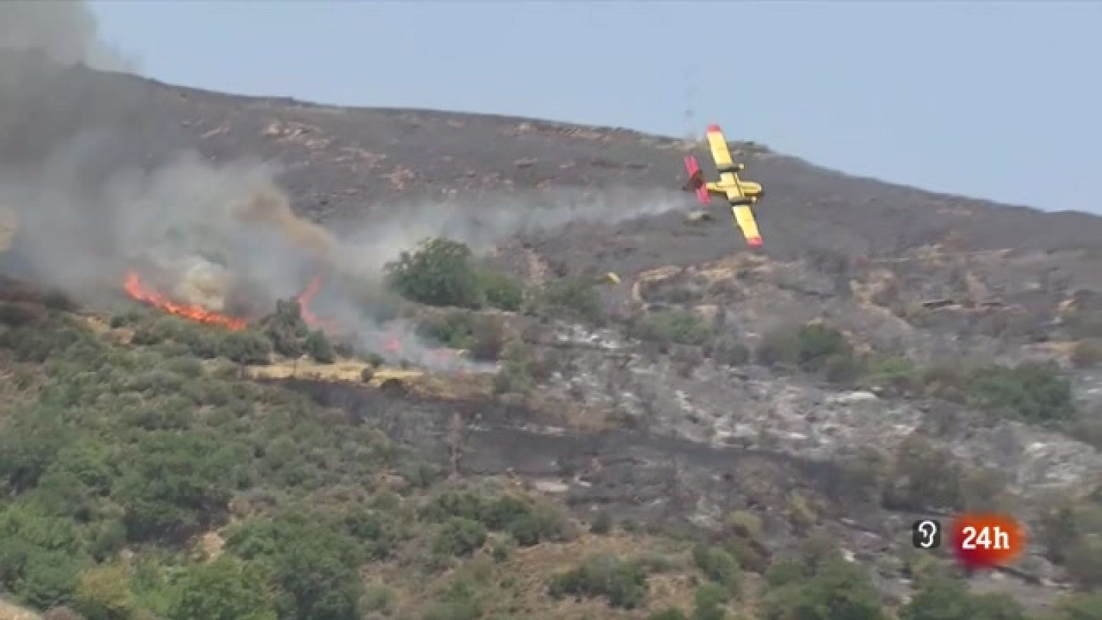 La tarde en 24 horas - 25/07/23 - ver ahora