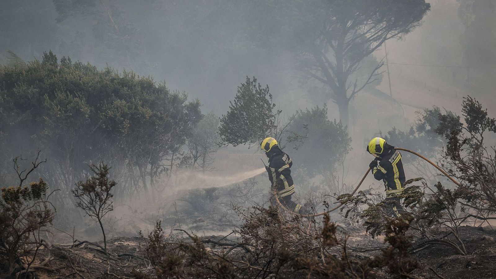 Incendio en Portugal: según la prensa lusa, al menos 13 personas han recibido asistencia sanitaria - Ver ahora