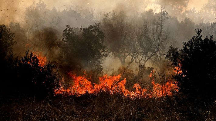 Telediario 1 - Las llamas devoran el Mediterráneo: los incendios avanzan en Grecia, Italia y Argelia