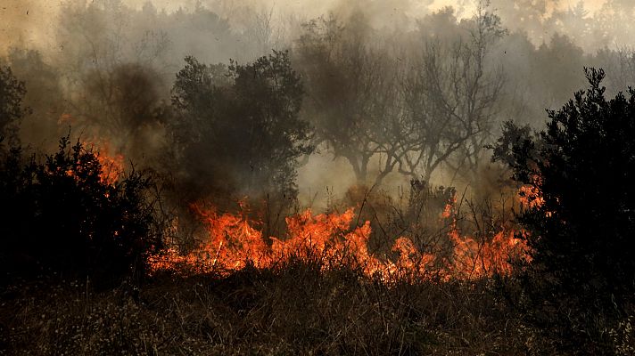 Telediario Internacional - Telediario Internacional - 26/07/23