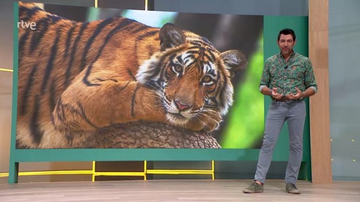 Aquí la Tierra - Aquí la Tierra - 27/07/23