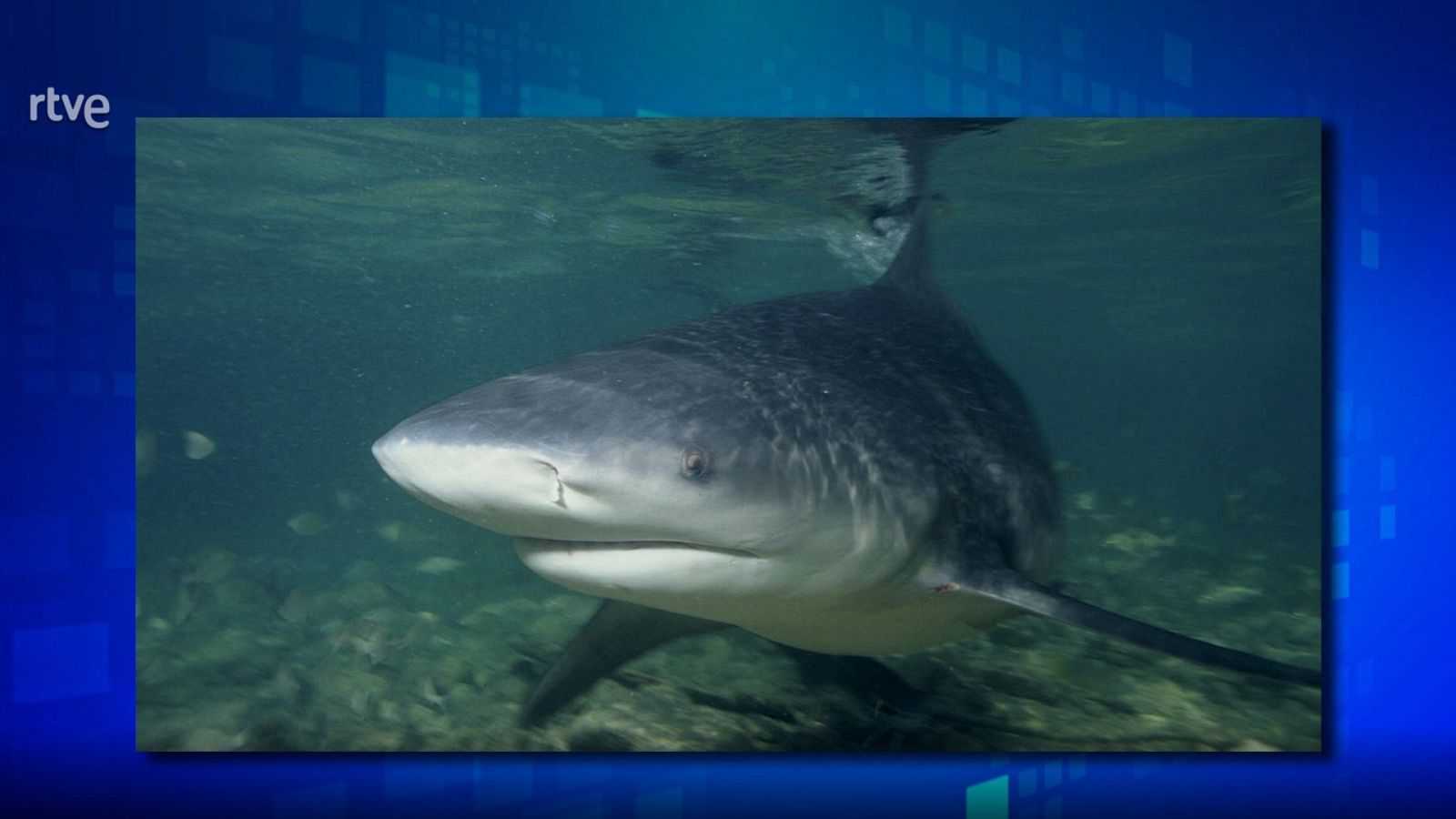 Saber y ganar. Edición de fin de semana - 06/08/23 - ver ahora