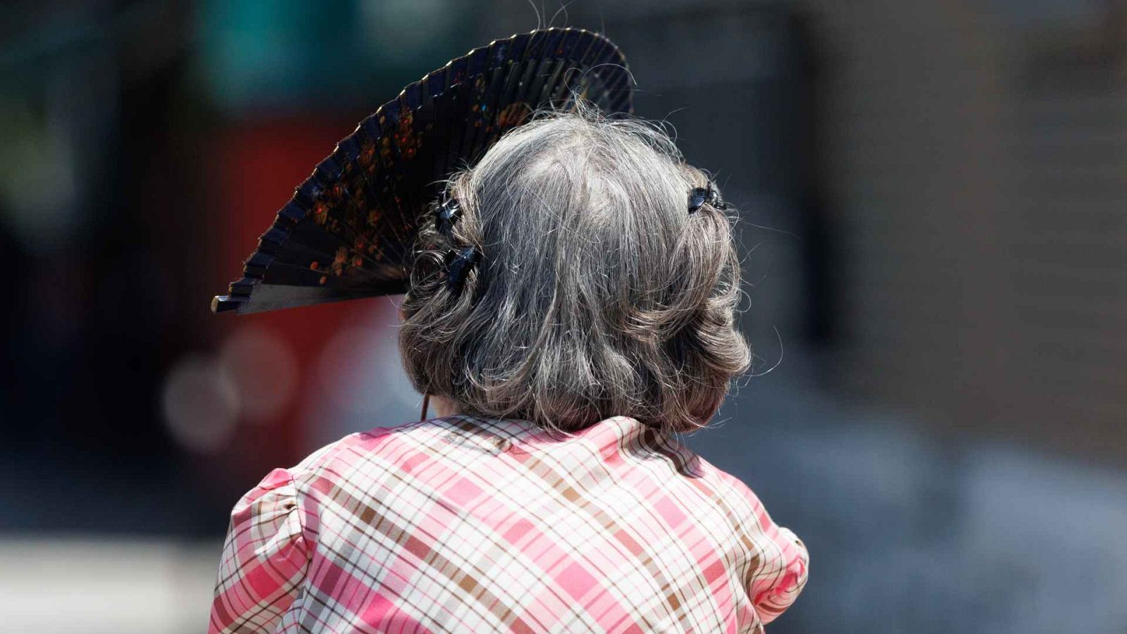 Temperaturas altas en general y un nuevo frente en el norte