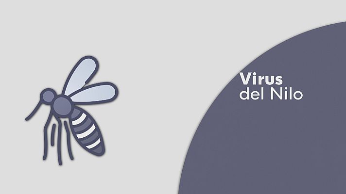 Noticias Andalucía - Detectan mosquitos con virus de la Fiebre del Nilo