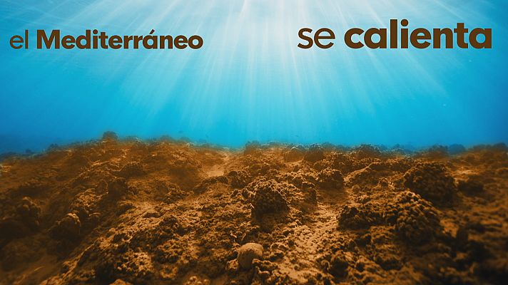 Noticias Andalucía - El cambio climático en el Mediterráneo